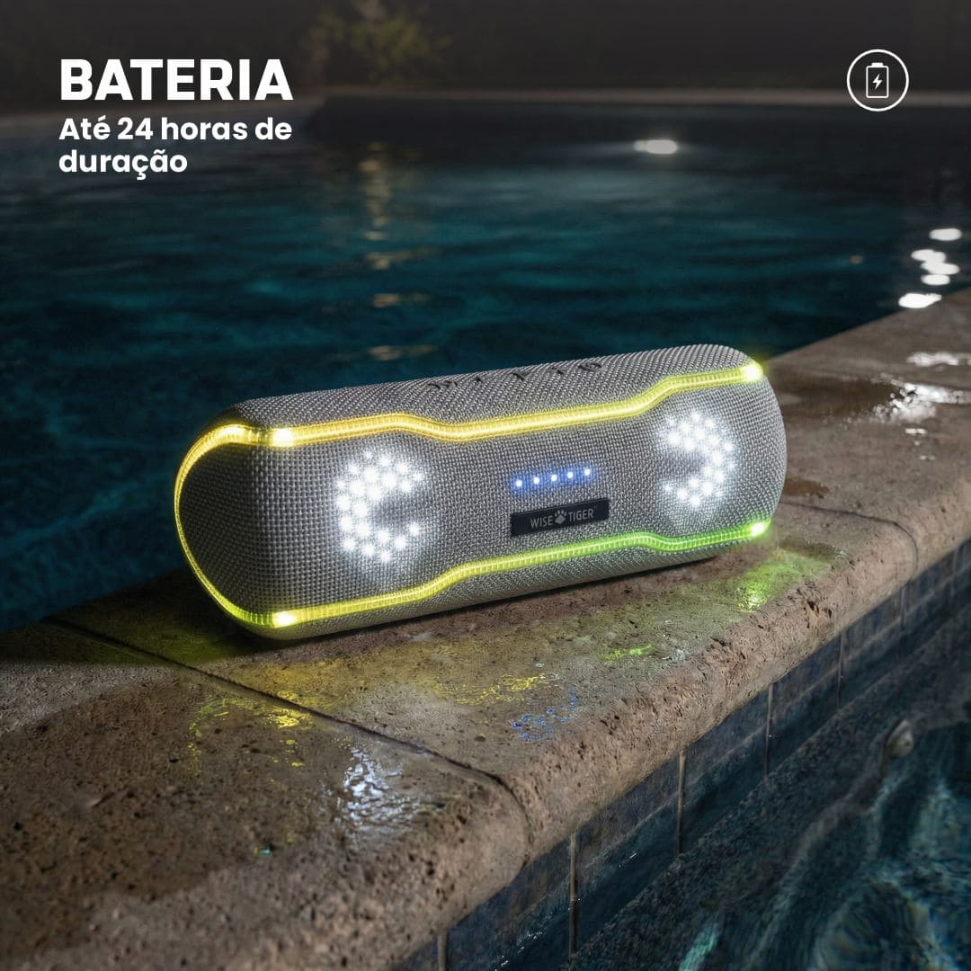 Caixa de som Bluetooth Wise Tiger F10C Cinza