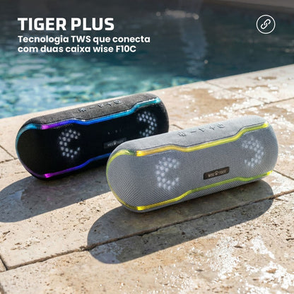Caixa de som Bluetooth Wise Tiger F10C Cinza