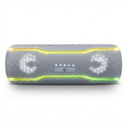 Caixa de som Bluetooth Wise Tiger F10C Cinza